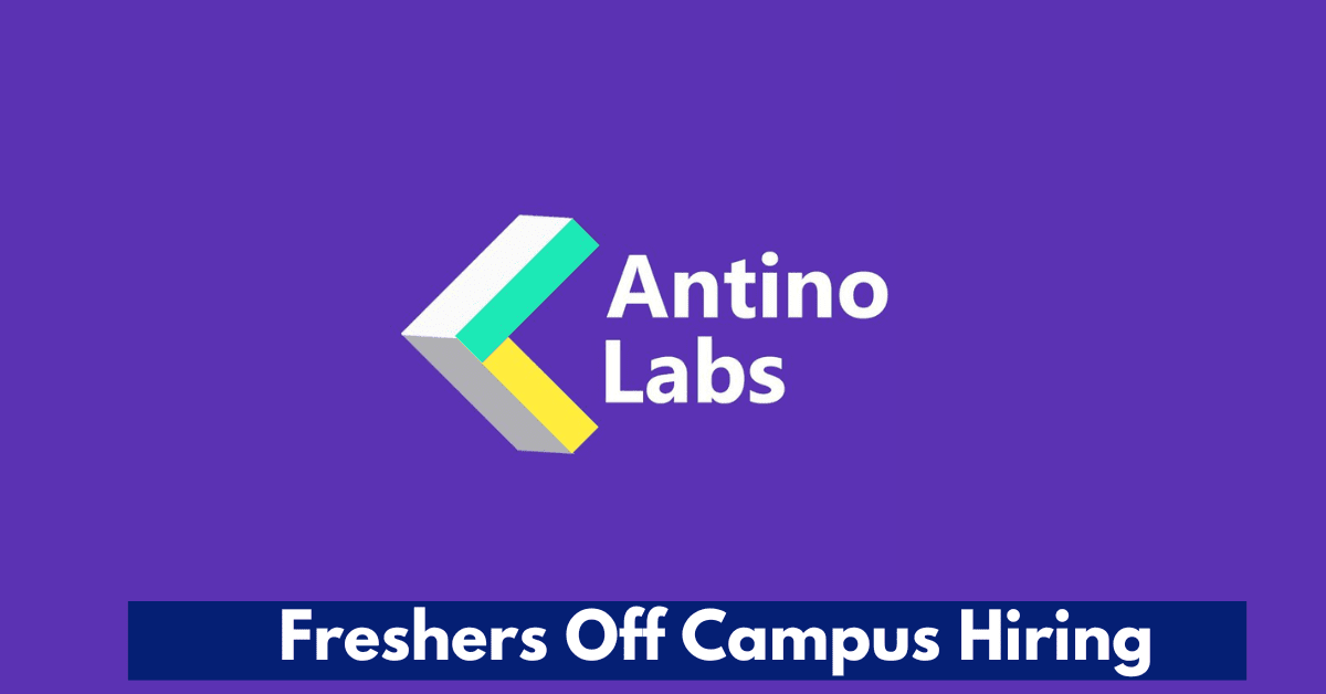 Antino Labs Freshers